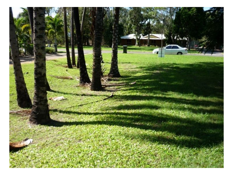 9 Foxwood Court, Dundowran Beach QLD 4655