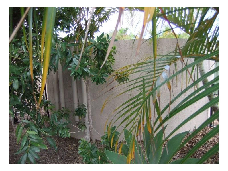 66 Honiton Street, Torquay QLD 4655