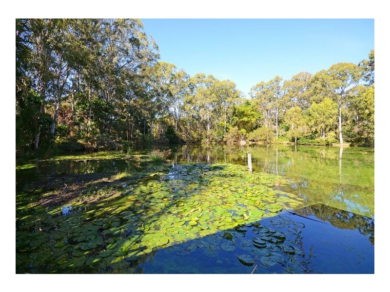 44 Carrington Street, River Heads QLD 4655