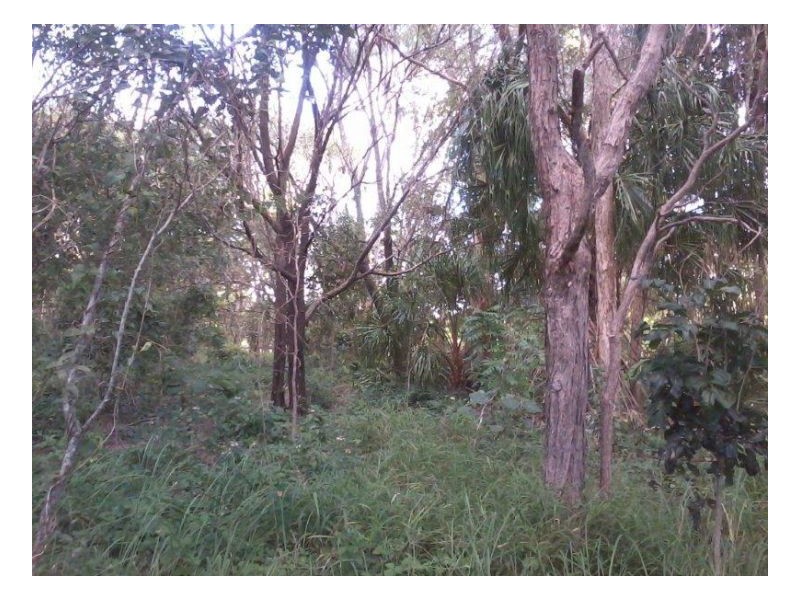 20-24 Vine Forest Drive, Dundowran Beach QLD 4655