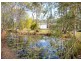 84 Scanlan Street, Sunshine Acres QLD 4655