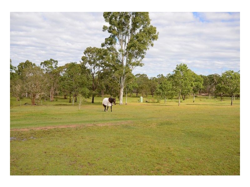 81 Barranjoey Drive, Sunshine Acres QLD 4655