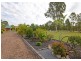 81 Barranjoey Drive, Sunshine Acres QLD 4655