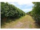 6 Bonnie Place, Craignish QLD 4655