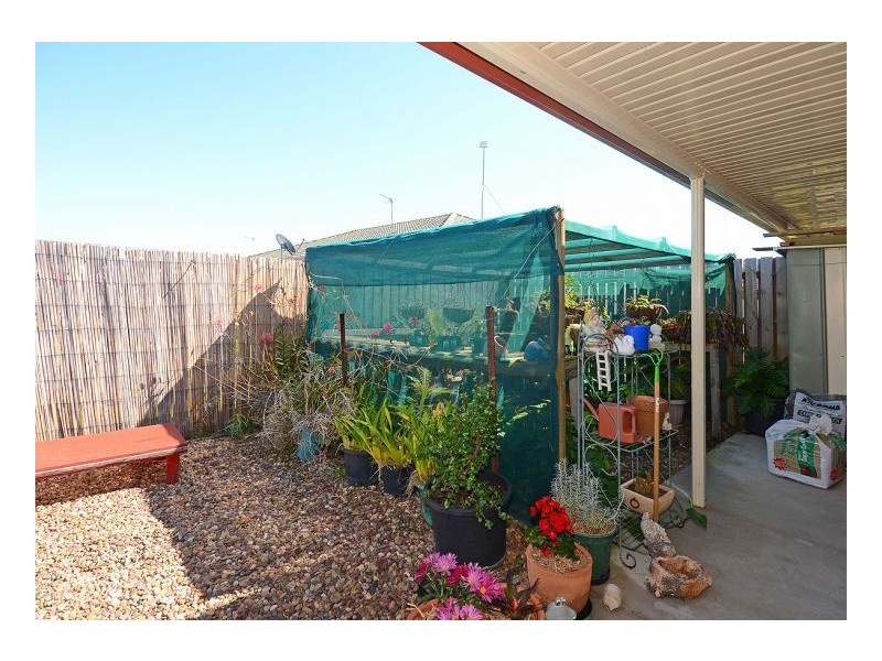 2 Scribbly Gum Court, Urraween QLD 4655