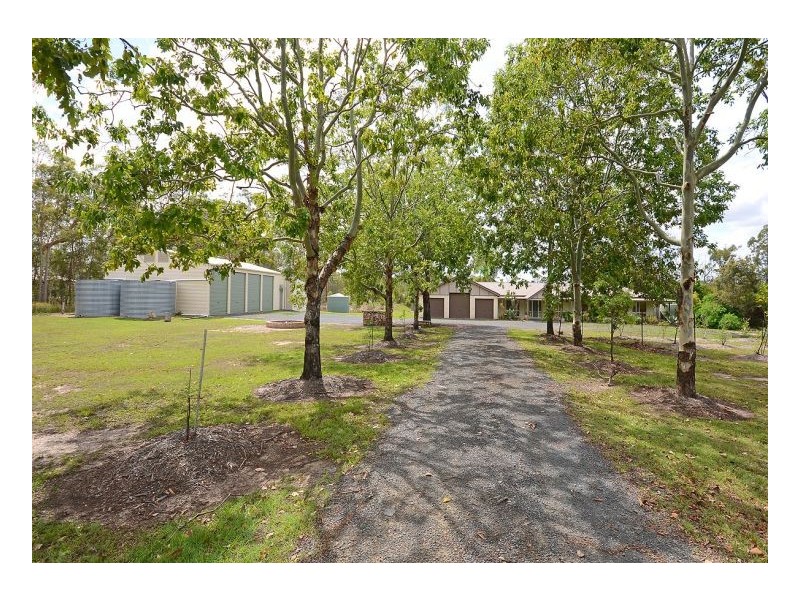 319 Condor Drive, Sunshine Acres QLD 4655