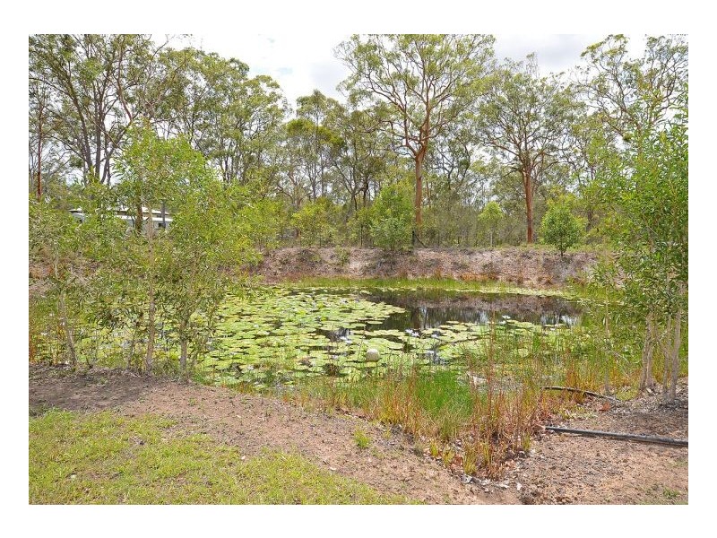 319 Condor Drive, Sunshine Acres QLD 4655