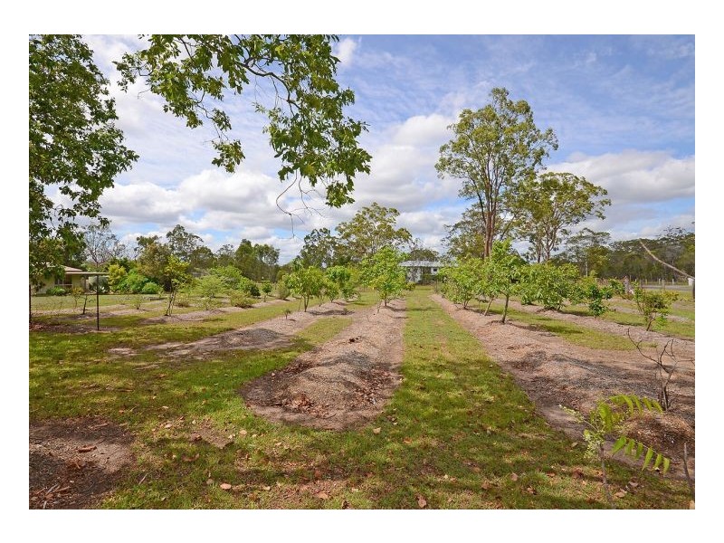 319 Condor Drive, Sunshine Acres QLD 4655