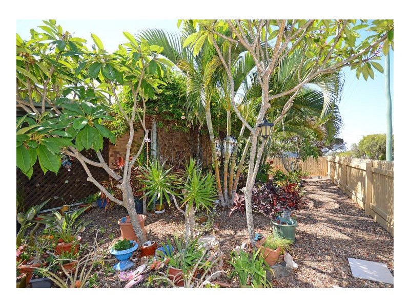 6 Maple Street, Pialba QLD 4655