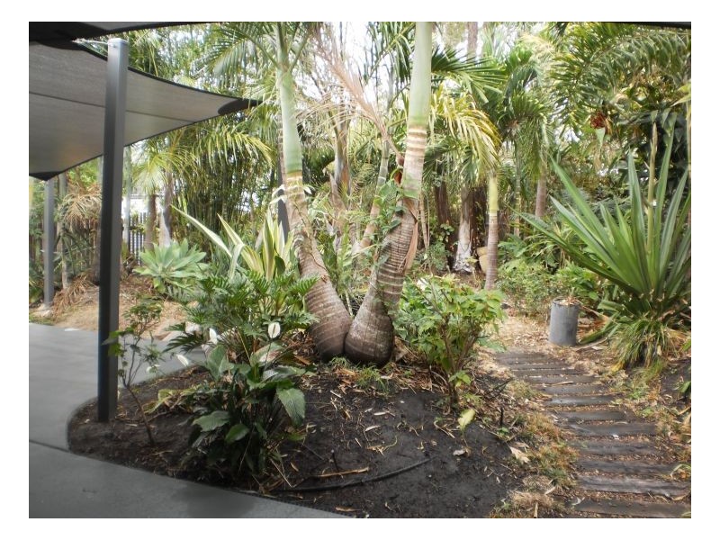 679 Boat Harbour Drive, Urangan QLD 4655