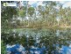 220 O`REGAN CREEK RD, Toogoom QLD 4655