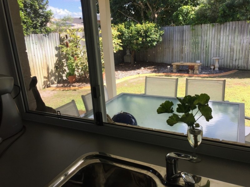 2/11 Beach Walk Court, Toogoom QLD 4655