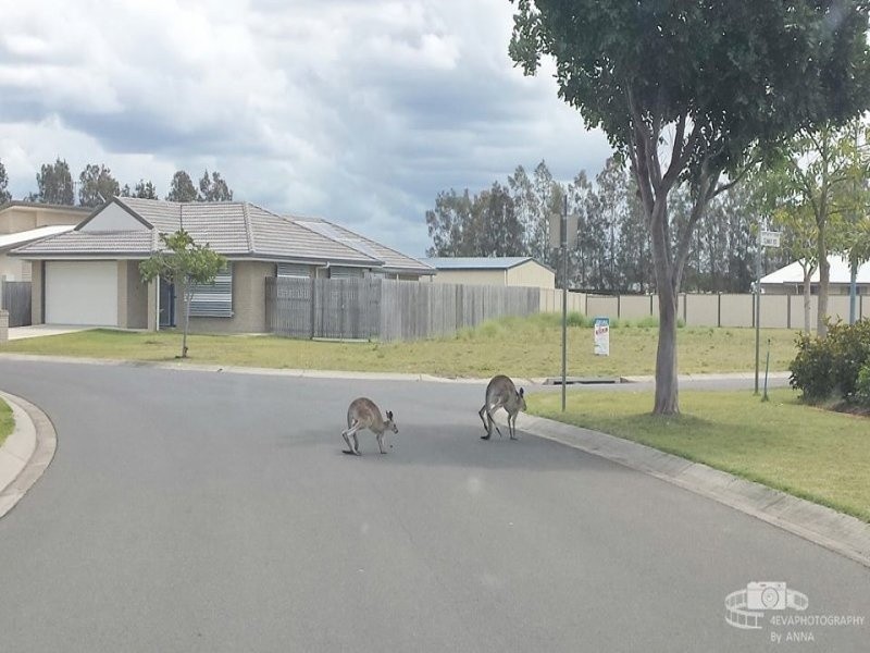 50 Desmond Drive, Toogoom QLD 4655