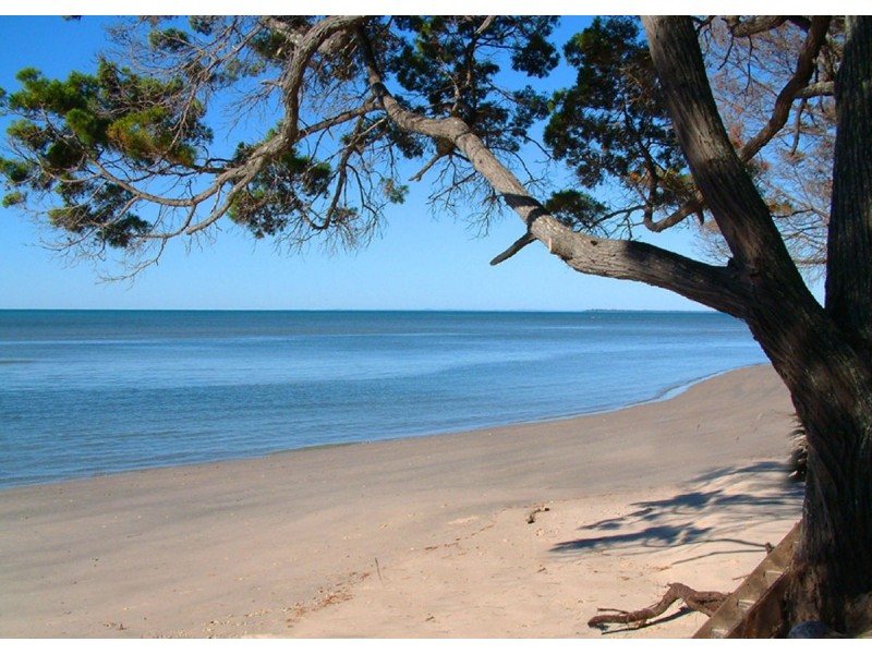 14 Shellcot Street, Toogoom QLD 4655