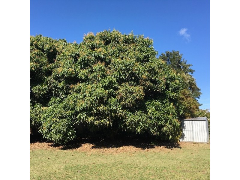 111 Esplanade, Toogoom QLD 4655