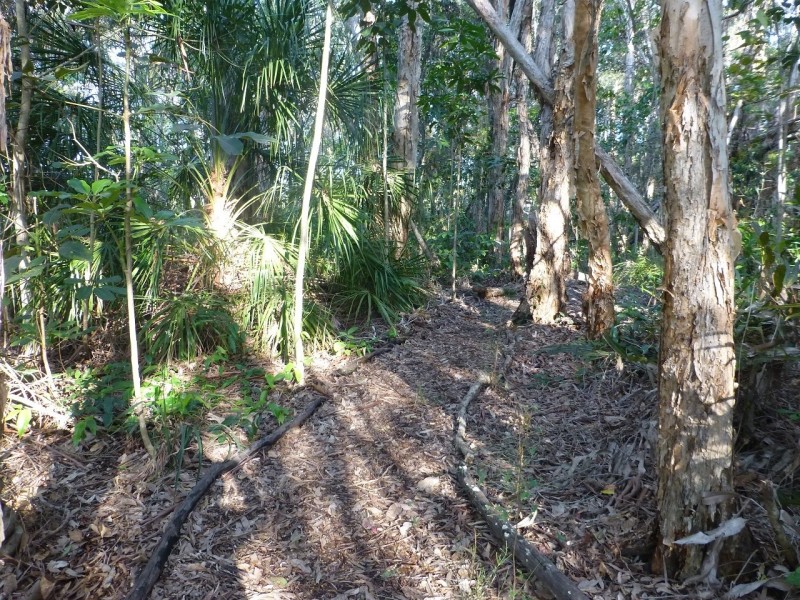 120 Sanctuary Hills Road, Takura QLD 4655