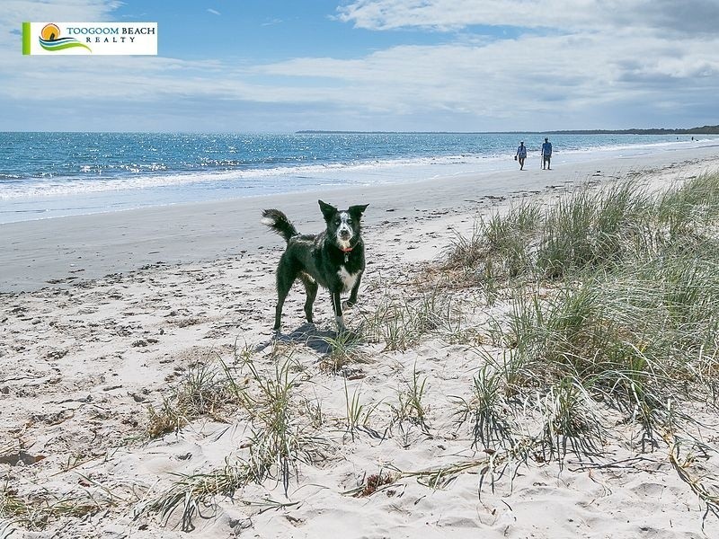 6 HELM ST, Toogoom QLD 4655