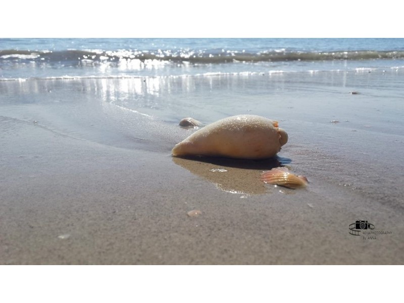 6 HELM ST, Toogoom QLD 4655