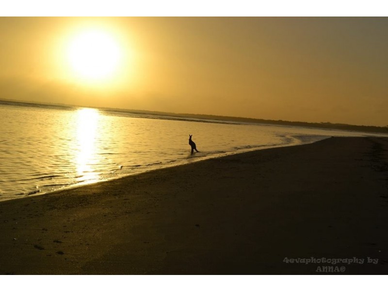 6 HELM ST, Toogoom QLD 4655