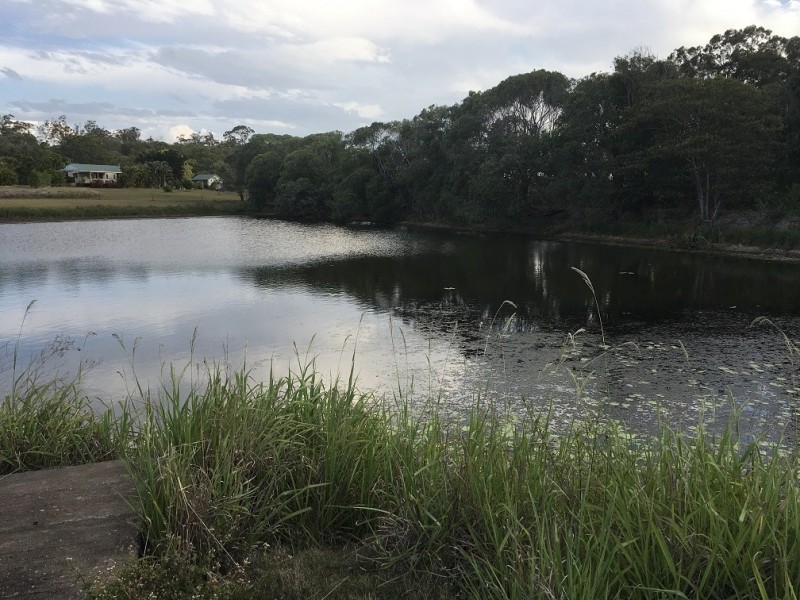 111 Sanctuary Hills Road, Takura QLD 4655