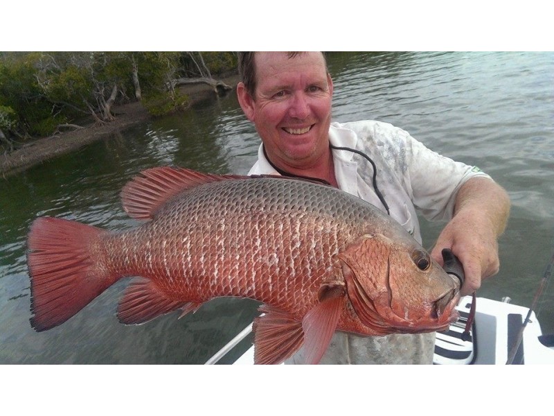 12 Trevalli Court, Toogoom QLD 4655