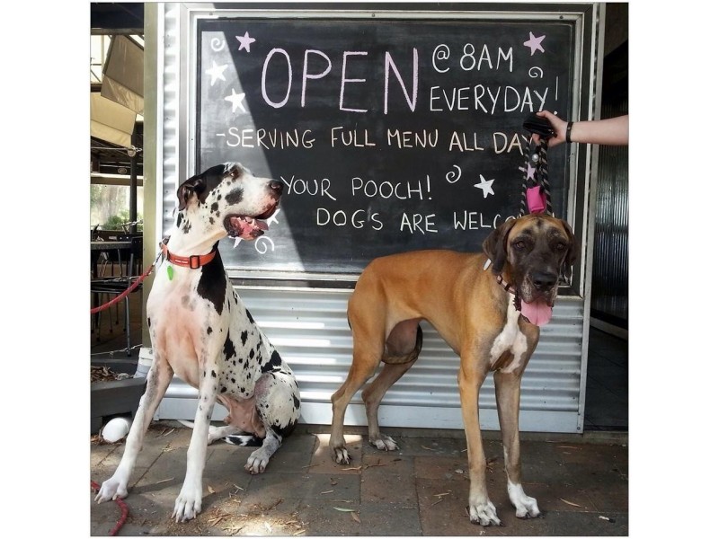 66/16 WAVE COURT, Toogoom QLD 4655