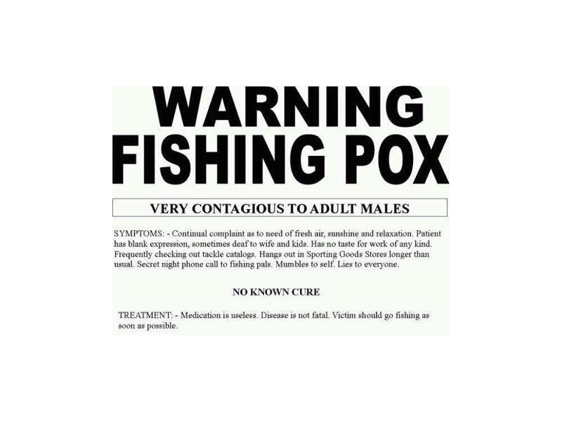 66/16 WAVE COURT, Toogoom QLD 4655