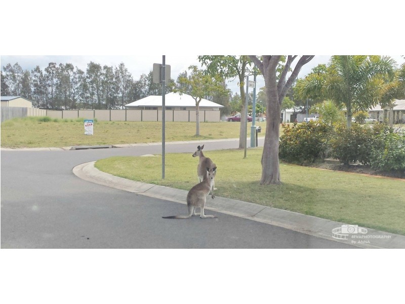 27/Lot 27 / 348 O’Regan Creek Road, Toogoom QLD 4655