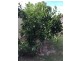 554 Oregan Creek Road, Toogoom QLD 4655