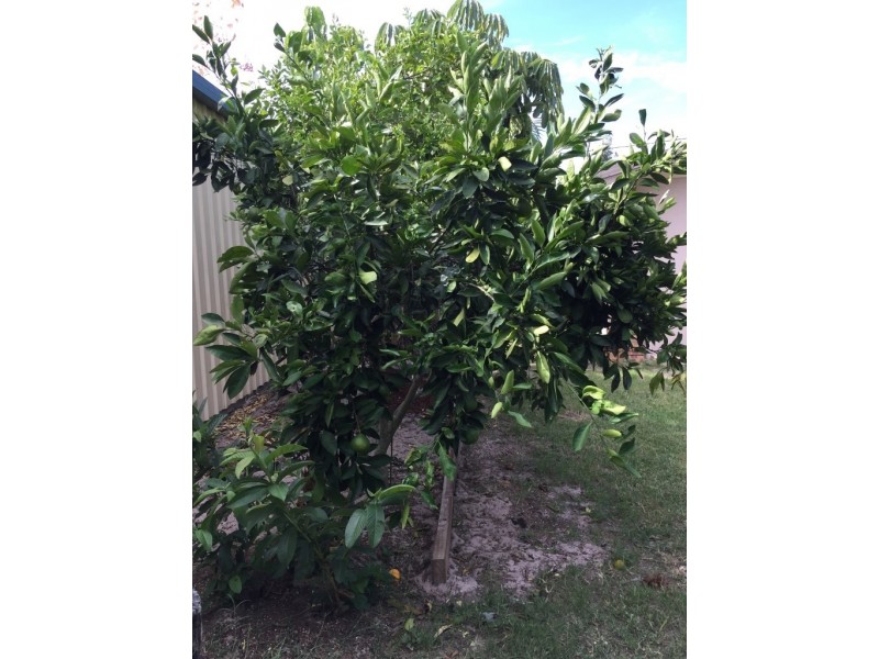 554 Oregan Creek Road, Toogoom QLD 4655