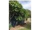 554 Oregan Creek Road, Toogoom QLD 4655