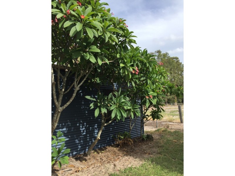 554 Oregan Creek Road, Toogoom QLD 4655