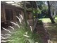 41 Hillview Road, Bowen QLD 4805