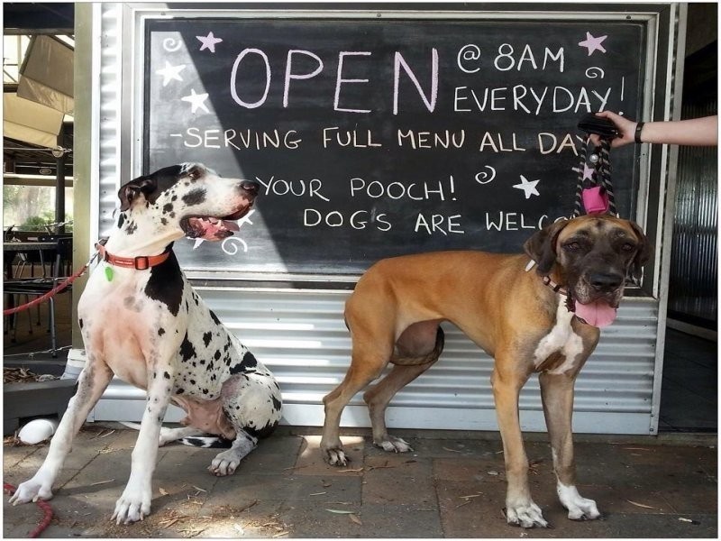 31 Fraser Waters Parade, Toogoom QLD 4655