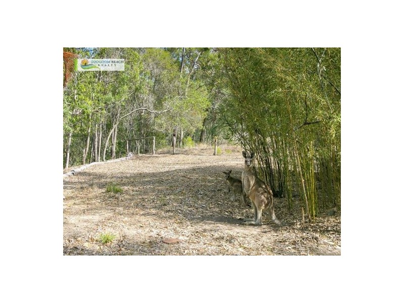 40-42 South Heath Road, Burrum River QLD 4659