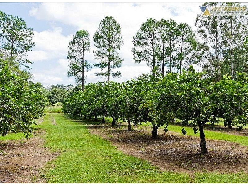 245 Coonoongibber Creek Road, Brooloo QLD 4570