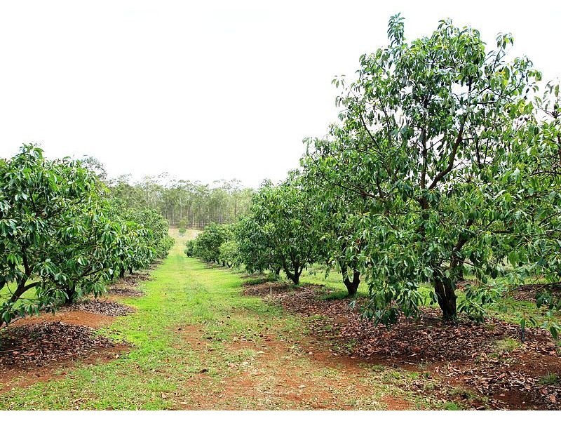 751 Teddington Rd, Teddington QLD 4650