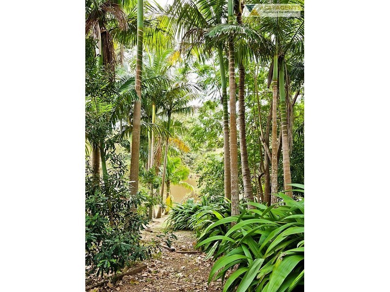 111 Yabba Road, Imbil QLD 4570