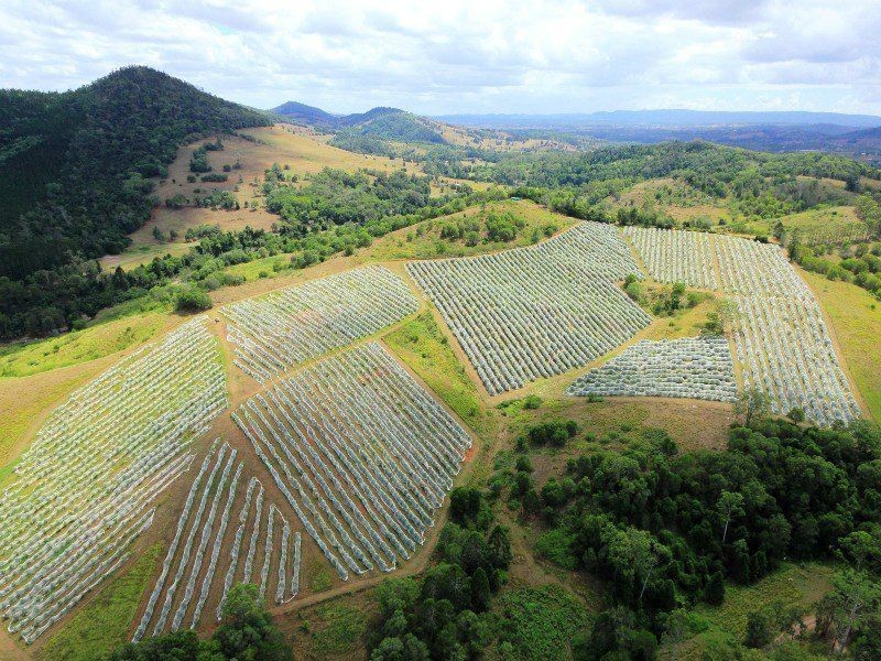 255 Amamoor Creek Road, Amamoor QLD 4570