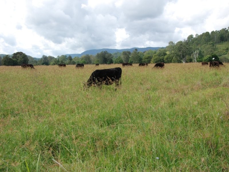 3562 Maleny Kenilworth Road, Kenilworth QLD 4574