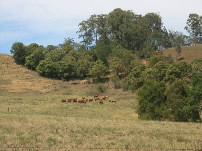 4380 Mary Valley Road, Brooloo QLD 4570