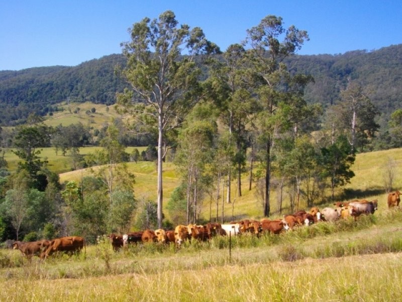 4380 Mary Valley Road, Brooloo QLD 4570
