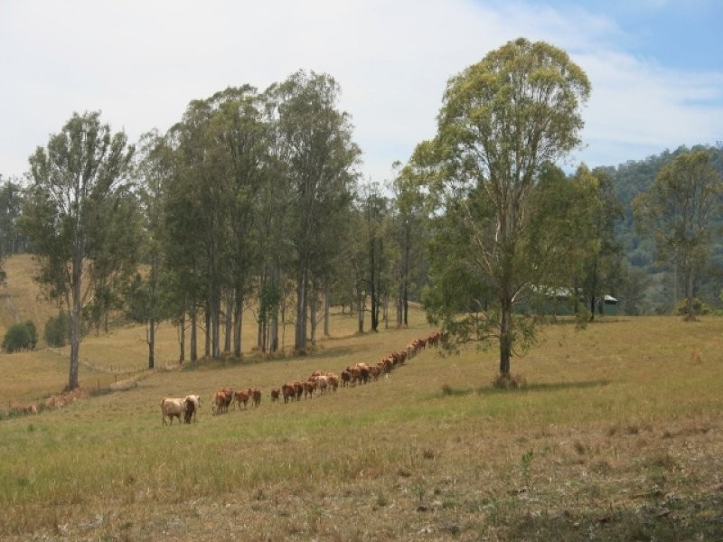 4380 Mary Valley Road, Brooloo QLD 4570