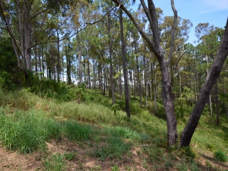 65 Callemonda Road, Brooloo QLD 4570