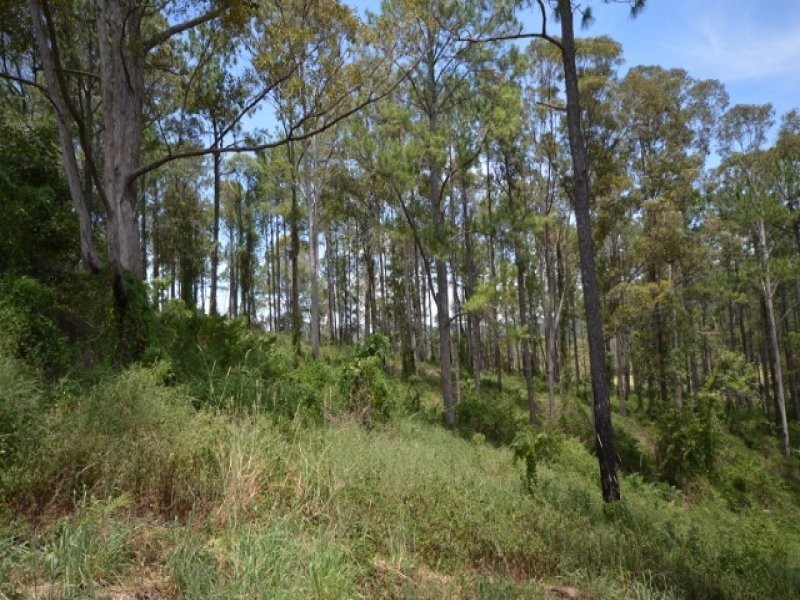 65 Callemonda Road, Brooloo QLD 4570