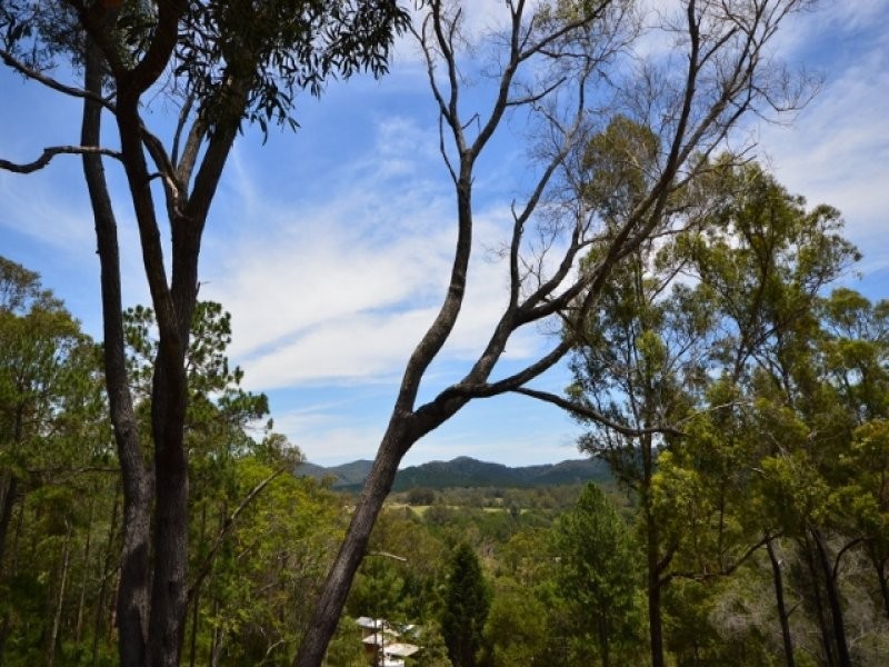 65 Callemonda Road, Brooloo QLD 4570