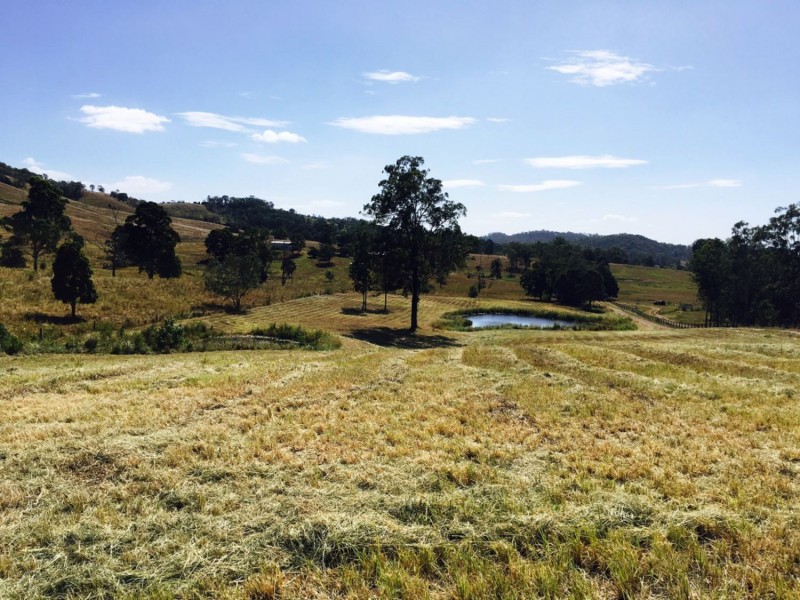 170 Hyne Estate Road, Kandanga QLD 4570