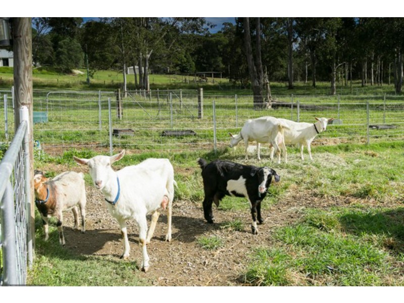 178 Ballard Road, Imbil QLD 4570