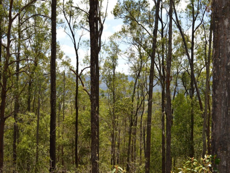 561 Kidaman Creek Road, Kidaman Creek QLD 4574