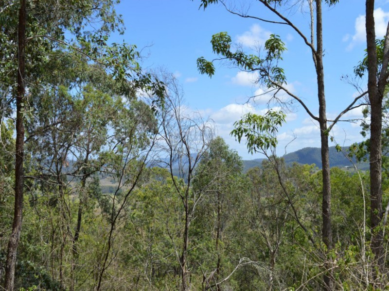 561 Kidaman Creek Road, Kidaman Creek QLD 4574